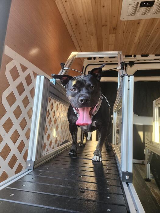 All smiles mid-run