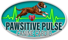 Pawsitive Pulse Canine Cardio